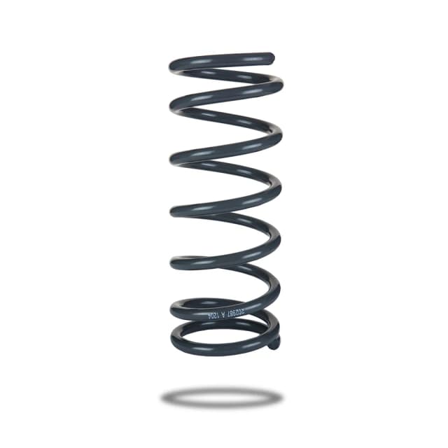 202987 Rear Spring Low