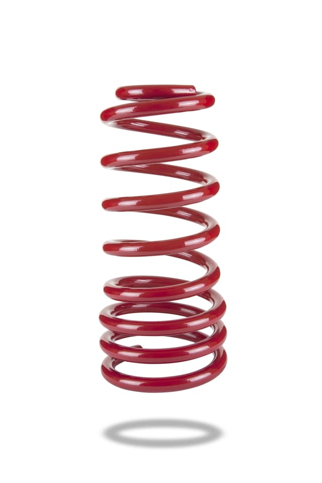 212955 Rear Spring Low