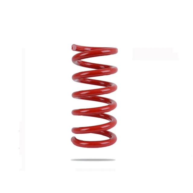 220137 Rear Spring Low