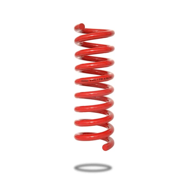 220178 Front Spring Low