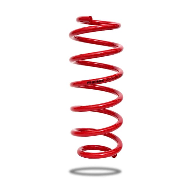 220234 Front Spring Low