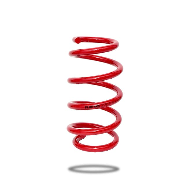220235 Rear Spring Low