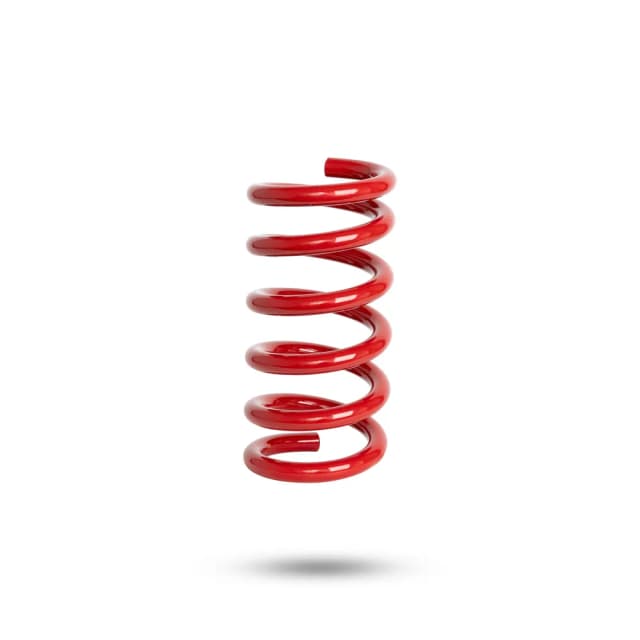 222137L Rear Spring Low