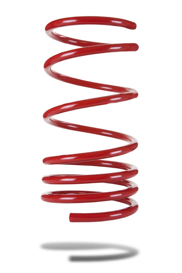 222397-1 Rear Spring Low