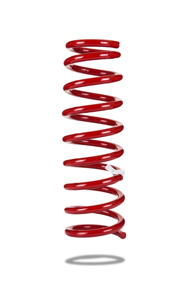 230059 Rear Spring Standard
