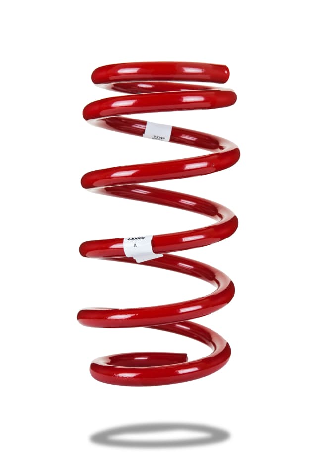 230069 Rear Spring Standard