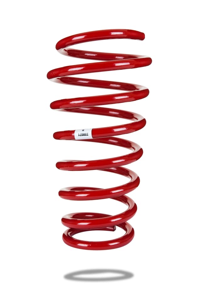 230071 Rear Spring Standard