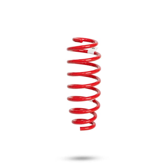230107 Rear Spring Standard