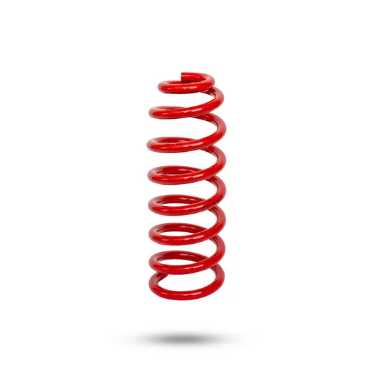 230246 Rear Spring Standard