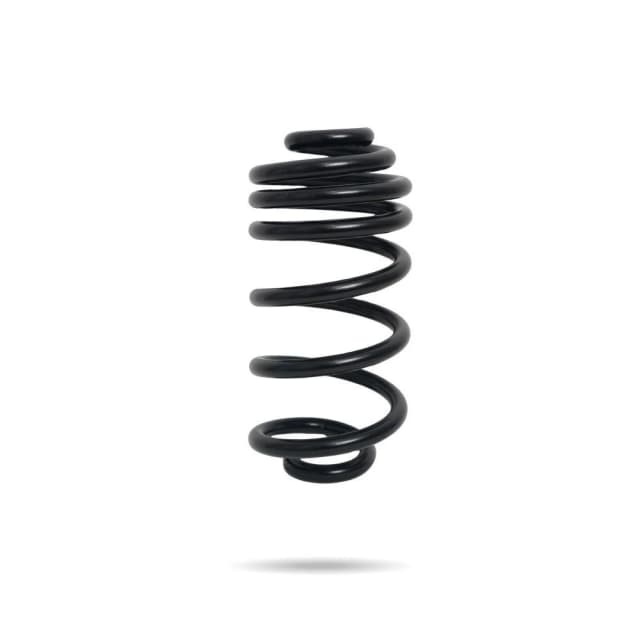 230671B Rear Spring Standard