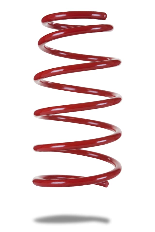 2399 Rear Spring Low