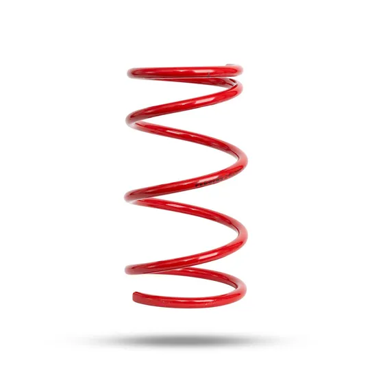 240022 Front Spring Raised