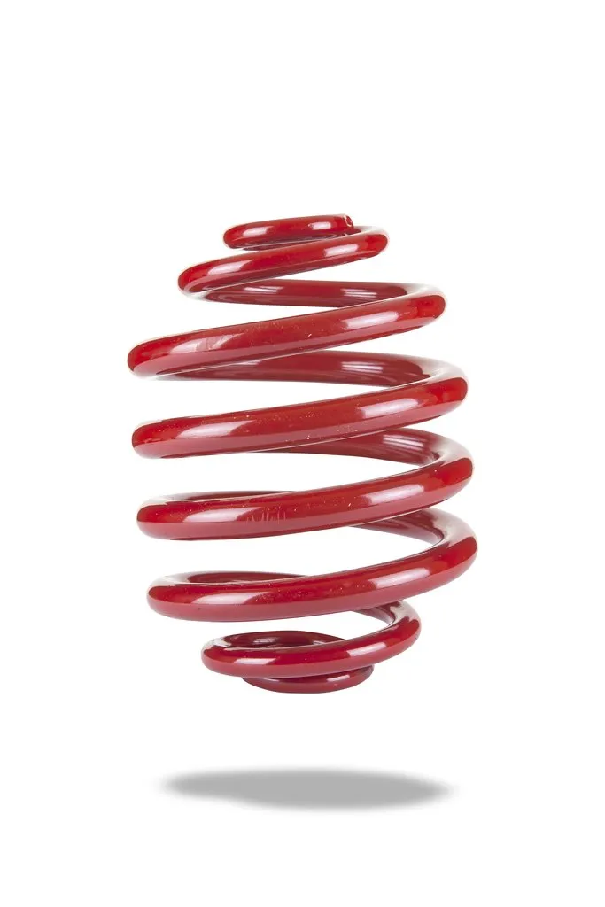 2641 Rear Spring Low