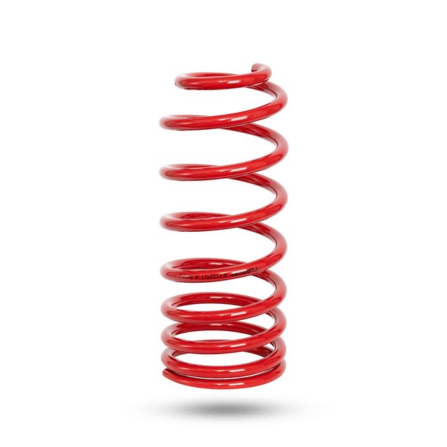 270251 Rear Spring Standard
