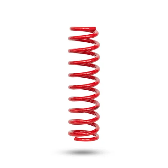 290077 Front Spring Raised
