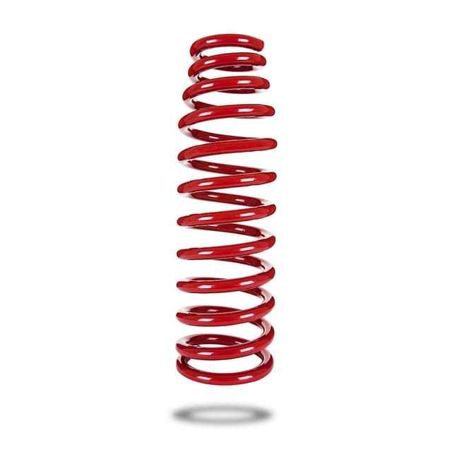 290080 Front Spring Raised