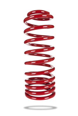 290081 Rear Spring Raised