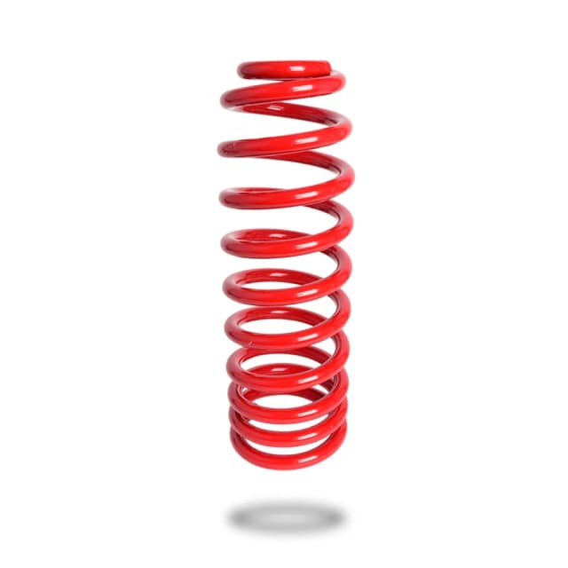 290213 Rear Spring Standard