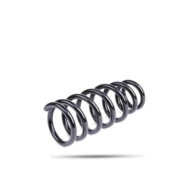 290256 Rear Spring Raised