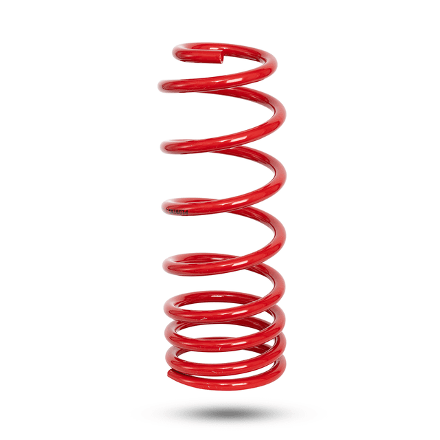 292251 Rear Spring Raised