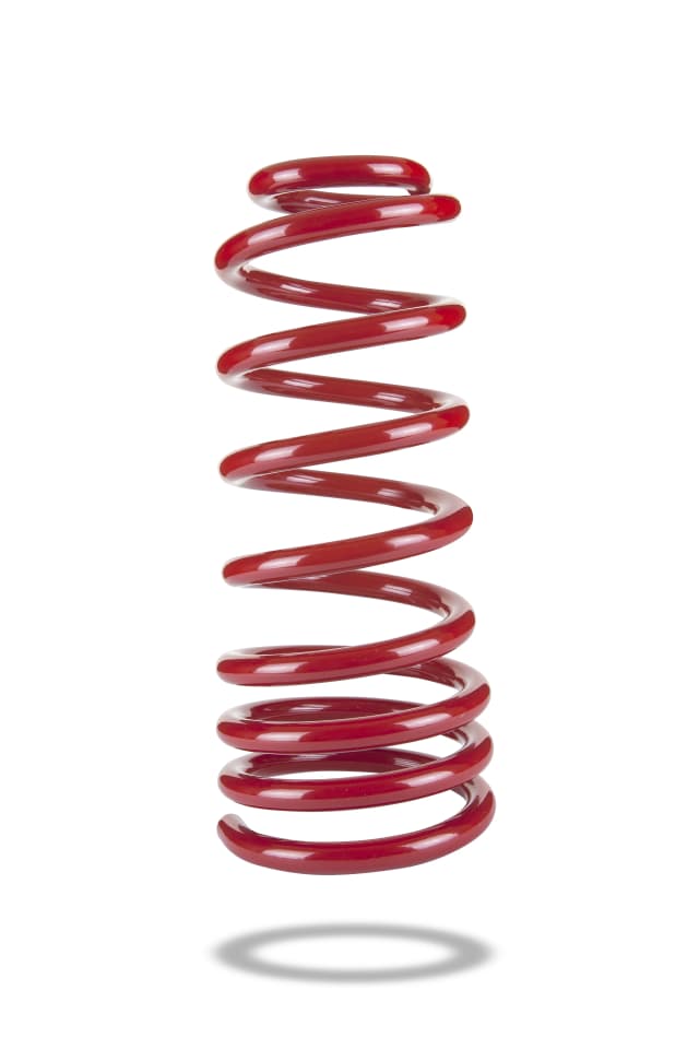 2957 Rear Spring Low