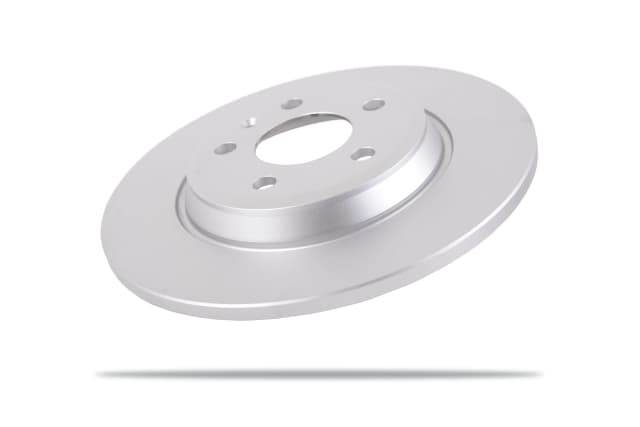 6600050 Rear Brake Rotors