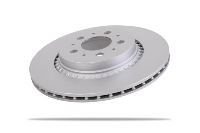6600058 Rear Brake Rotors