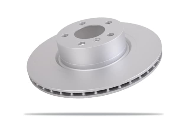 6600084 Rear Brake Rotors