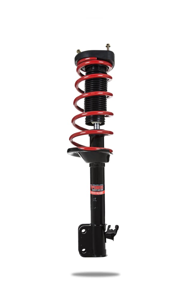 800998L Complete Strut Assembly (Rear)