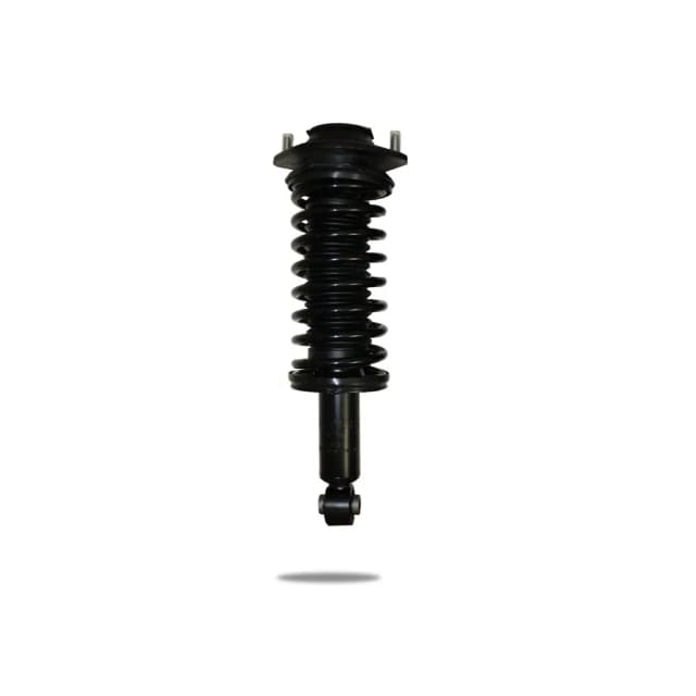 802011 Complete Strut Assembly (Front)