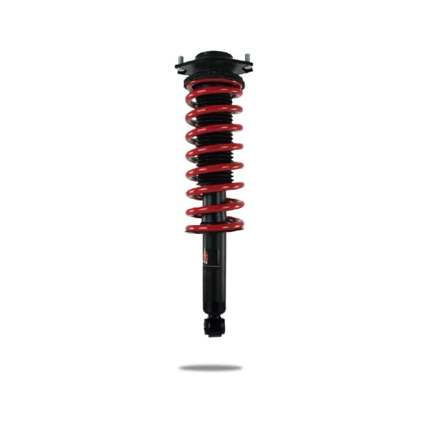 802212 Complete Strut Assembly (Rear)