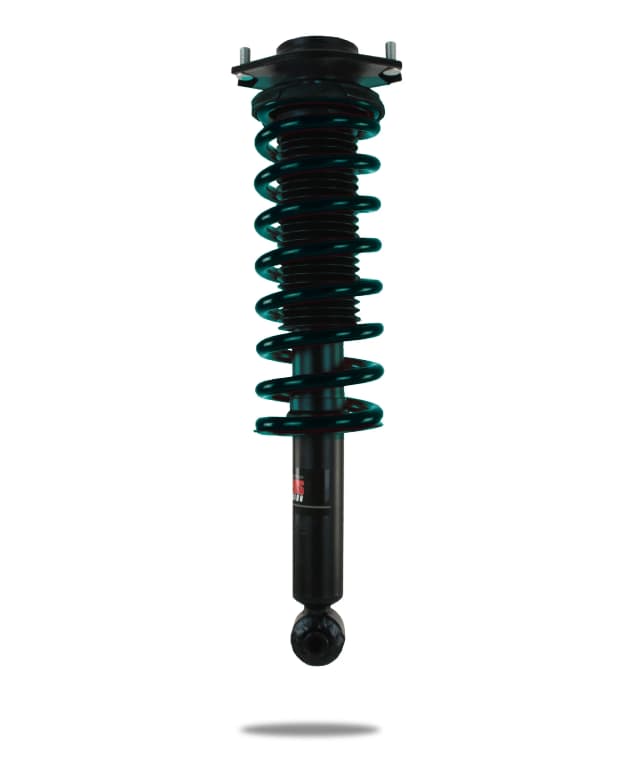 802329 Complete Strut Assembly (Rear)