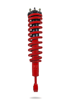 807109L Complete Strut Assembly (Front Standard)