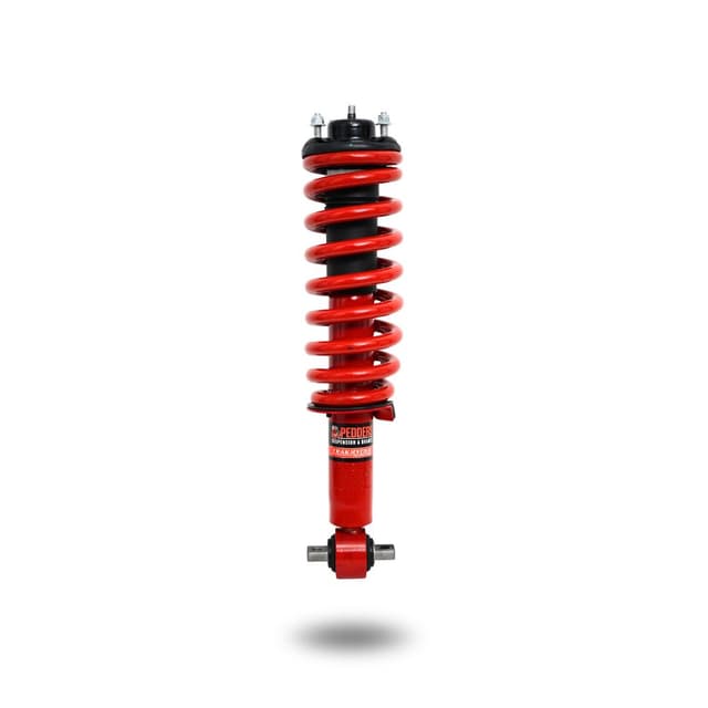 807309 Complete Strut Assembly Frt Raised +Load