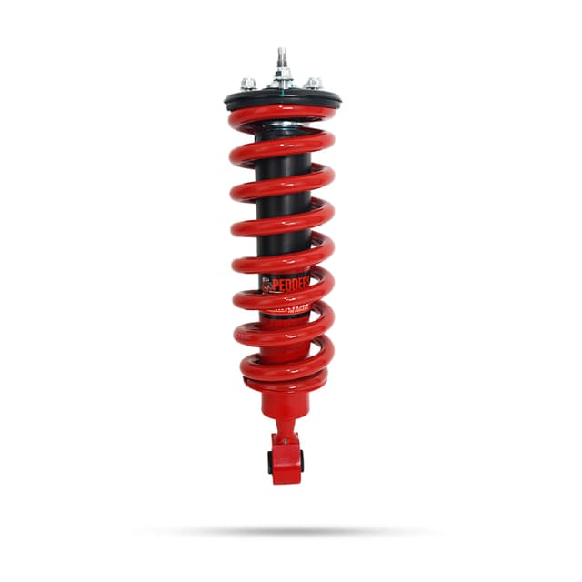 807319 Complete Strut Assembly Frt Raised +Load