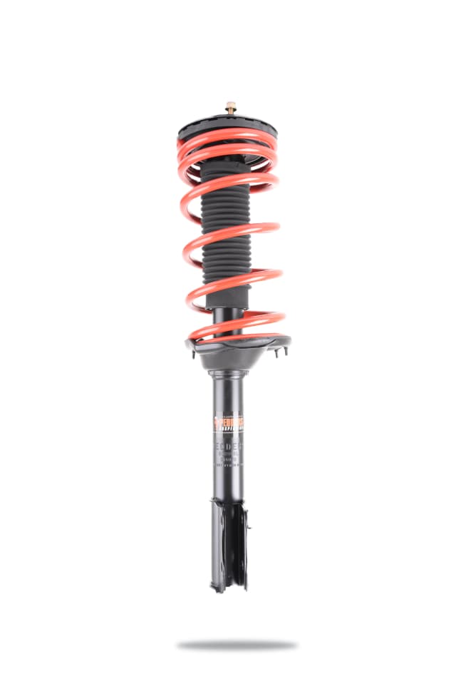 808998L Complete Strut Assembly (Rear)