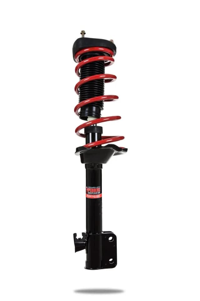 818473R Complete Strut Assembly (Rear)