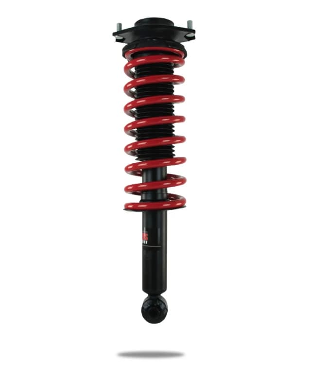 822375 Complete Strut Assembly (Rear)