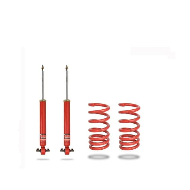 902315 Complete Strut Assembly (Rear)