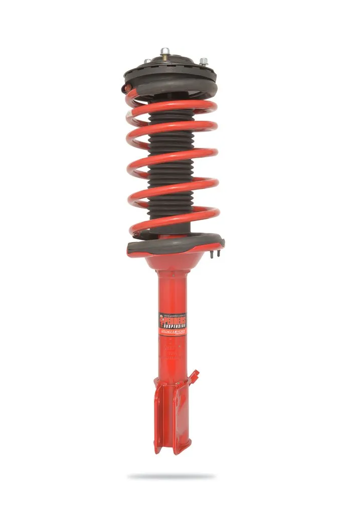 909981SL Complete Strut Assembly (Rear)