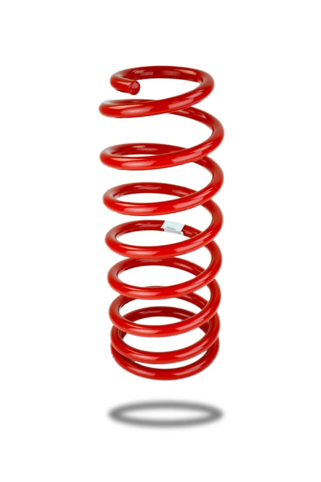 270133 Rear Spring Standard
