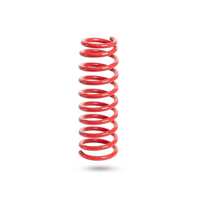 280194L Rear Spring Raised