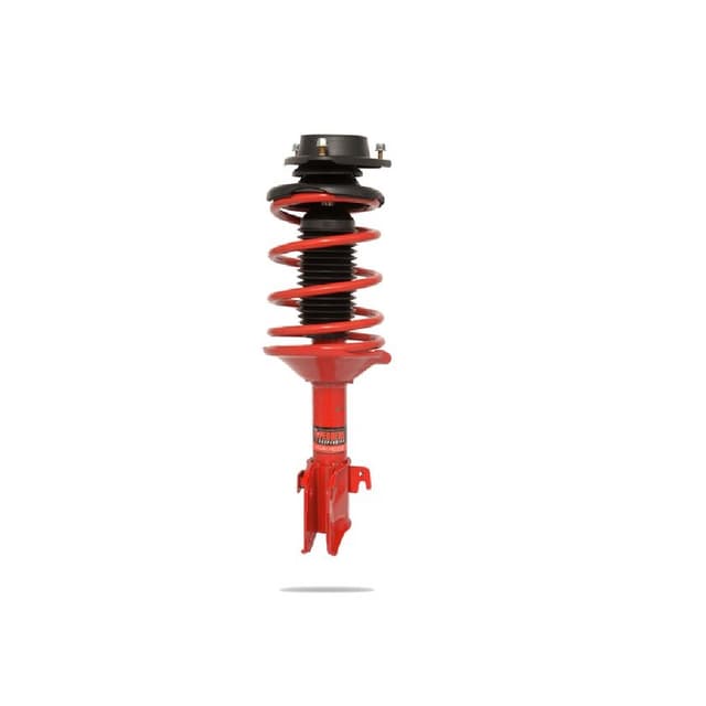 909861L Complete Strut Assembly (Rear)